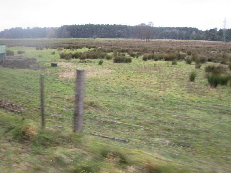 CTF Celle 019